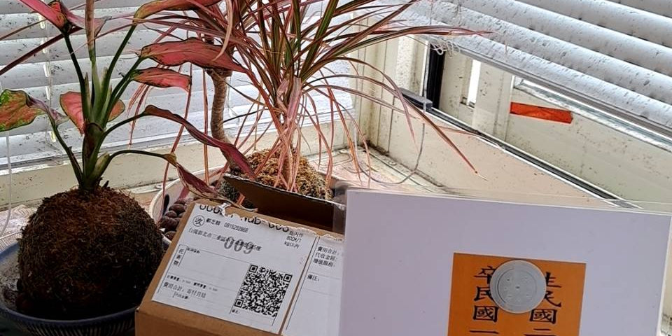 Transformational Moments with Aware of Life: A Journey of Emotional Resilience